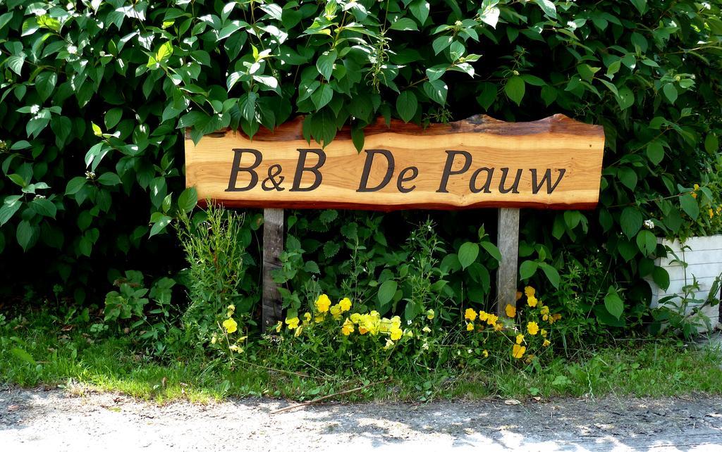 Bed En Breakfast De Pauw Wieringerwaard Cameră foto